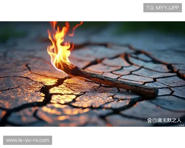 这棵36年的北方足球火种，为何最终消逝于南方的迷雾之中？辽宁沈阳的血脉球队，你怎能不为之痛心