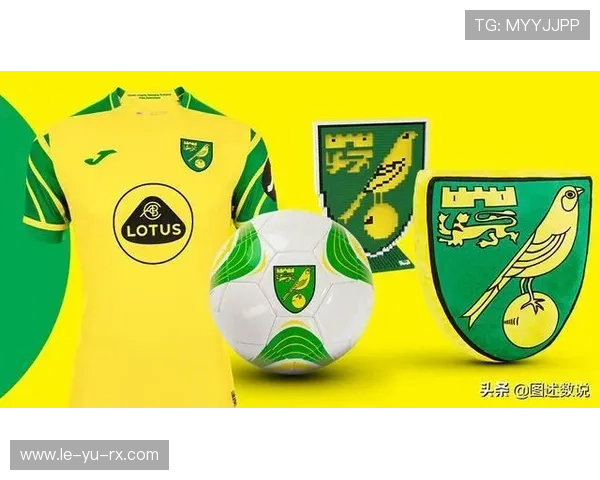 诺维奇：升降机命运再现，英超征程风云变幻